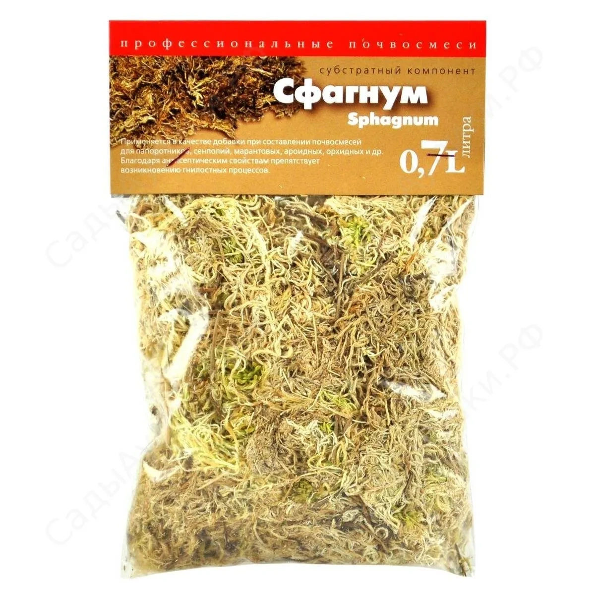 Сфагнум Сфагнум