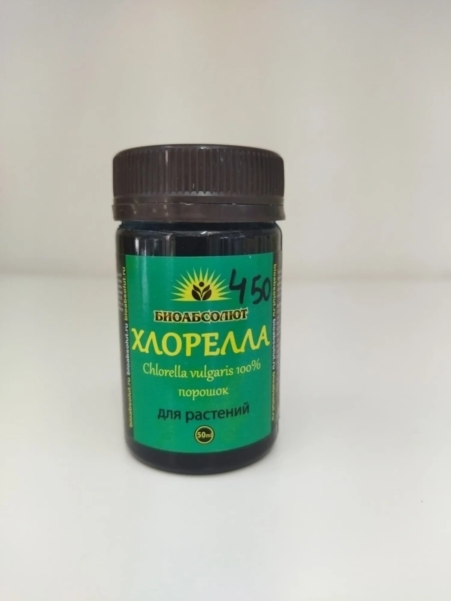 Хлорелла