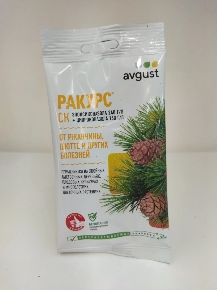 Ракурс Ракурс