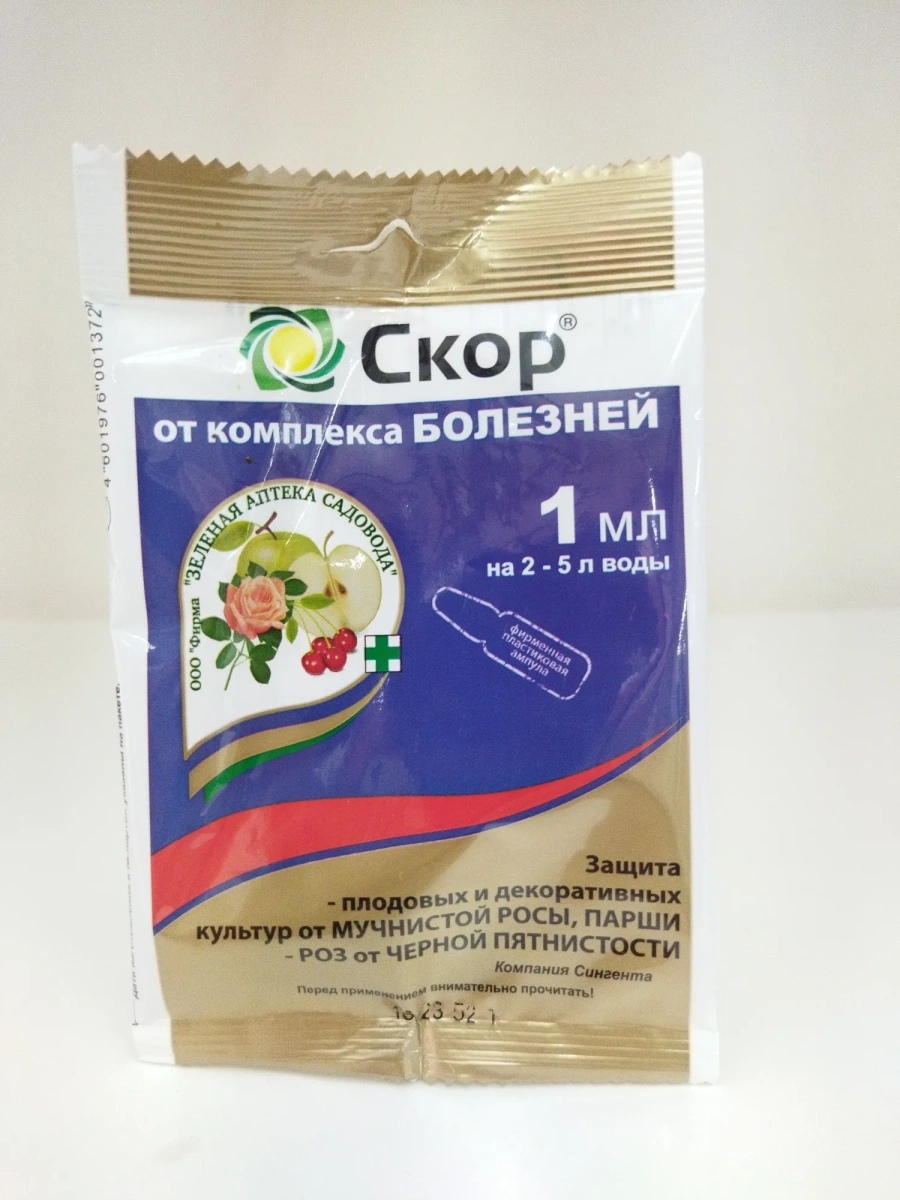 Скор Скор
