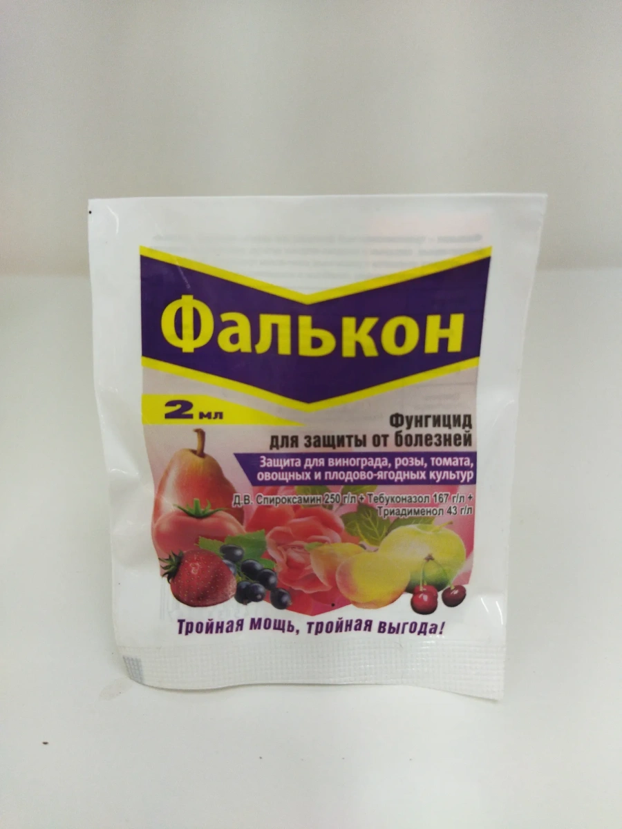 Фалькон Фалькон
