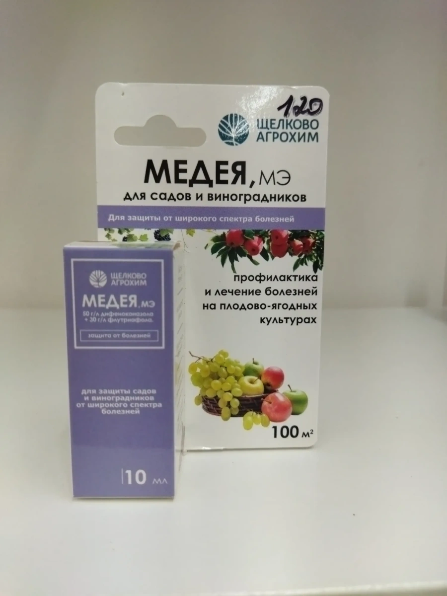 Мидея Мидея